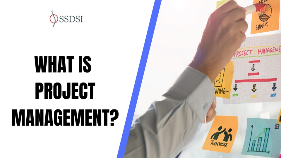 project-manageement-thumbnail