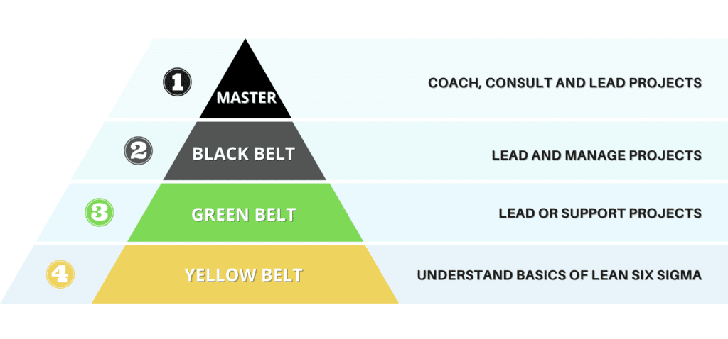What are examples of Six Sigma projects?